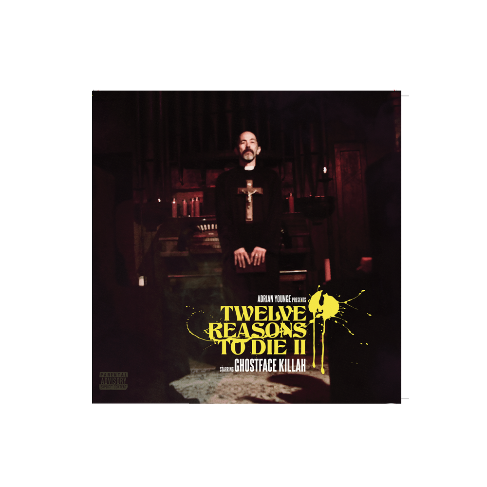 Twelve Reasons To Die 7